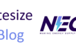 Bitesize Blog Logo