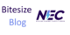 Bitesize Blog Logo